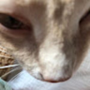 Meet your Posher, Isla